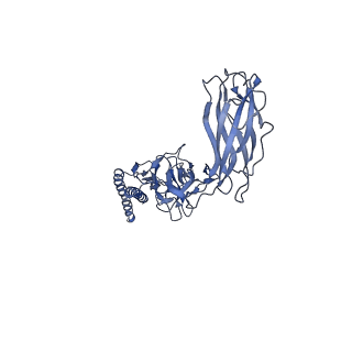 9909_6k3i_BC_v1-3
Salmonella hook in curved state - 66 subunit models