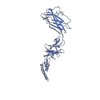 9909_6k3i_BD_v1-2
Salmonella hook in curved state - 66 subunit models
