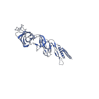 9909_6k3i_BF_v1-2
Salmonella hook in curved state - 66 subunit models