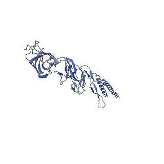 9909_6k3i_BF_v1-3
Salmonella hook in curved state - 66 subunit models