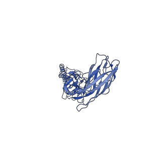 9909_6k3i_BH_v1-3
Salmonella hook in curved state - 66 subunit models