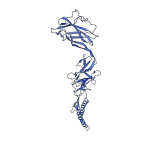 9909_6k3i_BJ_v1-2
Salmonella hook in curved state - 66 subunit models