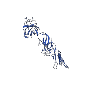 9909_6k3i_BK_v1-3
Salmonella hook in curved state - 66 subunit models