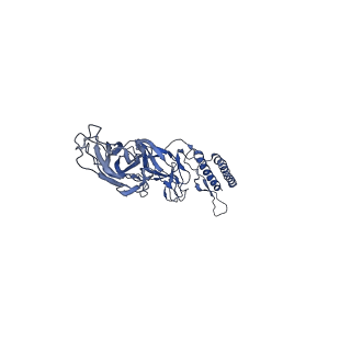 9909_6k3i_CA_v1-2
Salmonella hook in curved state - 66 subunit models