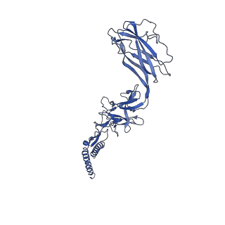 9909_6k3i_CD_v1-2
Salmonella hook in curved state - 66 subunit models