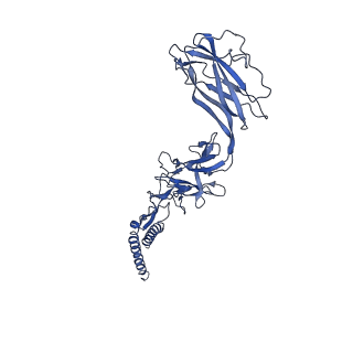 9909_6k3i_CD_v1-3
Salmonella hook in curved state - 66 subunit models