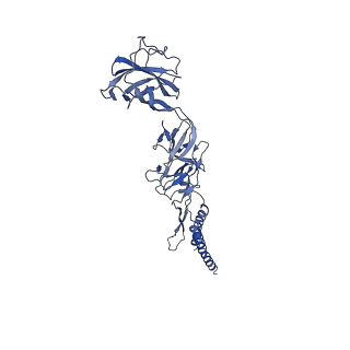 9909_6k3i_CE_v1-2
Salmonella hook in curved state - 66 subunit models