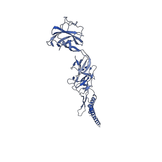 9909_6k3i_CE_v1-3
Salmonella hook in curved state - 66 subunit models