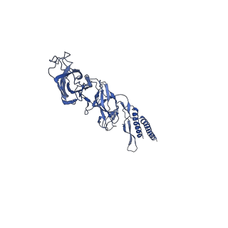 9909_6k3i_CF_v1-3
Salmonella hook in curved state - 66 subunit models