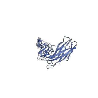 9909_6k3i_CH_v1-2
Salmonella hook in curved state - 66 subunit models