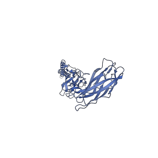 9909_6k3i_CH_v1-3
Salmonella hook in curved state - 66 subunit models