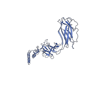 9909_6k3i_CI_v1-3
Salmonella hook in curved state - 66 subunit models