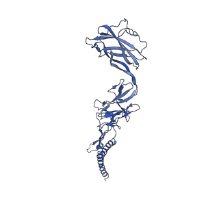 9909_6k3i_CJ_v1-2
Salmonella hook in curved state - 66 subunit models