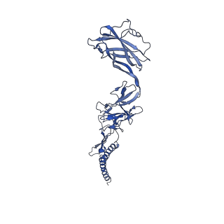 9909_6k3i_CJ_v1-3
Salmonella hook in curved state - 66 subunit models