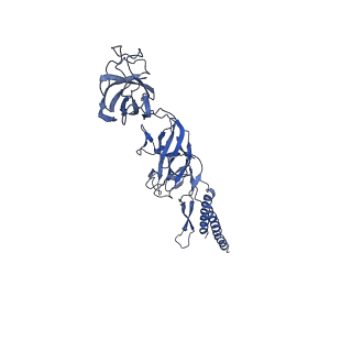 9909_6k3i_CK_v1-2
Salmonella hook in curved state - 66 subunit models
