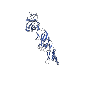 9909_6k3i_CK_v1-3
Salmonella hook in curved state - 66 subunit models