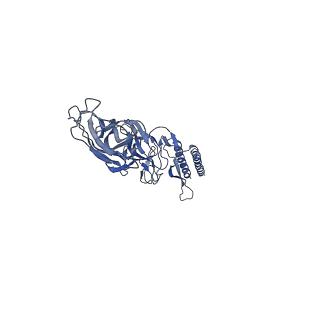 9909_6k3i_DA_v1-2
Salmonella hook in curved state - 66 subunit models