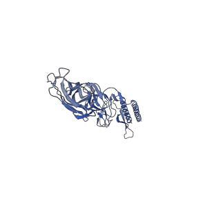 9909_6k3i_DA_v1-3
Salmonella hook in curved state - 66 subunit models