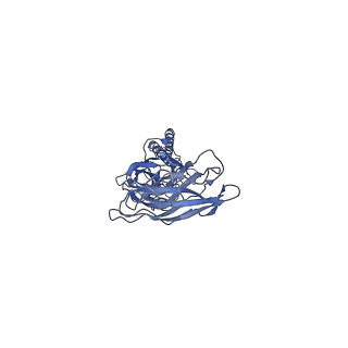 9909_6k3i_DB_v1-3
Salmonella hook in curved state - 66 subunit models