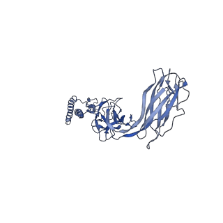 9909_6k3i_DC_v1-2
Salmonella hook in curved state - 66 subunit models
