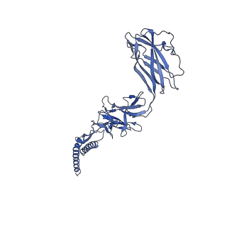 9909_6k3i_DD_v1-2
Salmonella hook in curved state - 66 subunit models