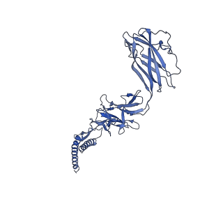 9909_6k3i_DD_v1-3
Salmonella hook in curved state - 66 subunit models