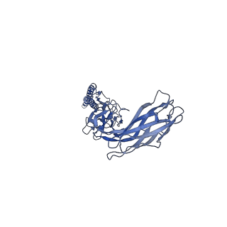 9909_6k3i_DH_v1-2
Salmonella hook in curved state - 66 subunit models