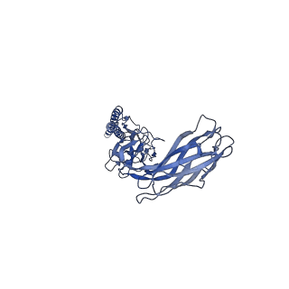 9909_6k3i_DH_v1-3
Salmonella hook in curved state - 66 subunit models