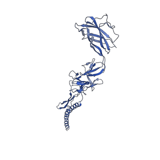 9909_6k3i_DJ_v1-3
Salmonella hook in curved state - 66 subunit models