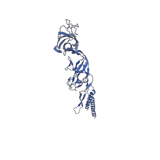 9909_6k3i_DK_v1-2
Salmonella hook in curved state - 66 subunit models