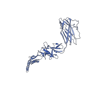 9909_6k3i_ED_v1-2
Salmonella hook in curved state - 66 subunit models