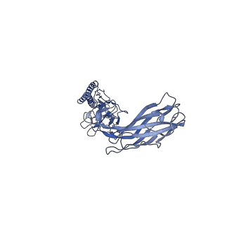 9909_6k3i_EH_v1-2
Salmonella hook in curved state - 66 subunit models