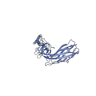 9909_6k3i_EH_v1-3
Salmonella hook in curved state - 66 subunit models