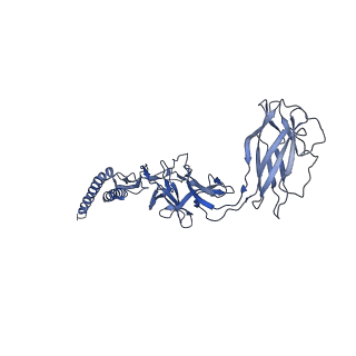 9909_6k3i_EI_v1-3
Salmonella hook in curved state - 66 subunit models