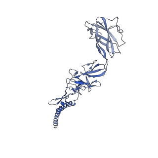 9909_6k3i_EJ_v1-2
Salmonella hook in curved state - 66 subunit models
