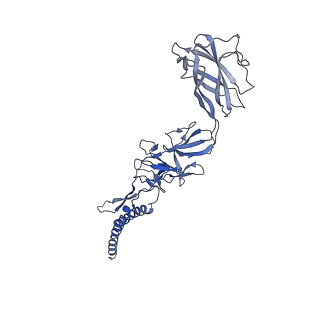 9909_6k3i_EJ_v1-3
Salmonella hook in curved state - 66 subunit models