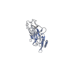 9909_6k3i_FA_v1-2
Salmonella hook in curved state - 66 subunit models