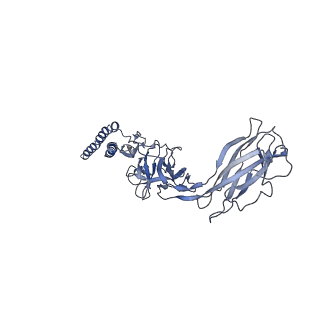 9909_6k3i_FC_v1-3
Salmonella hook in curved state - 66 subunit models