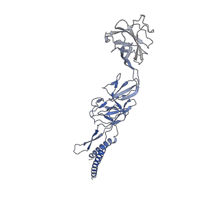9909_6k3i_FE_v1-2
Salmonella hook in curved state - 66 subunit models