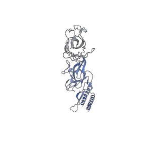 9909_6k3i_FF_v1-3
Salmonella hook in curved state - 66 subunit models