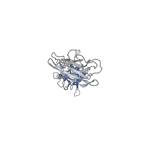 9909_6k3i_FG_v1-2
Salmonella hook in curved state - 66 subunit models