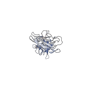 9909_6k3i_FG_v1-3
Salmonella hook in curved state - 66 subunit models
