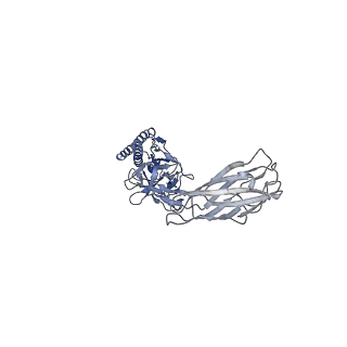 9909_6k3i_FH_v1-2
Salmonella hook in curved state - 66 subunit models
