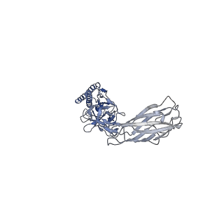 9909_6k3i_FH_v1-3
Salmonella hook in curved state - 66 subunit models