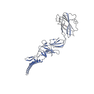 9909_6k3i_FJ_v1-2
Salmonella hook in curved state - 66 subunit models