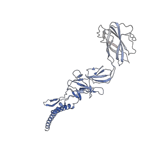 9909_6k3i_FJ_v1-3
Salmonella hook in curved state - 66 subunit models