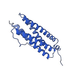 9910_6k3o_A_v1-1
Cryo-EM structure of Apo-bacterioferritin from Streptomyces coelicolor