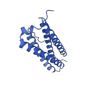 9910_6k3o_B_v1-1
Cryo-EM structure of Apo-bacterioferritin from Streptomyces coelicolor