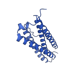 9910_6k3o_B_v1-2
Cryo-EM structure of Apo-bacterioferritin from Streptomyces coelicolor