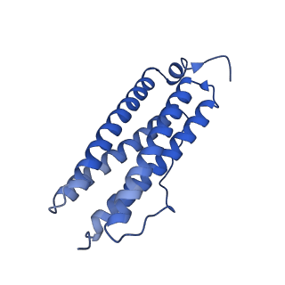9910_6k3o_C_v1-1
Cryo-EM structure of Apo-bacterioferritin from Streptomyces coelicolor
